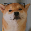 话多症
