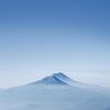 铃兰